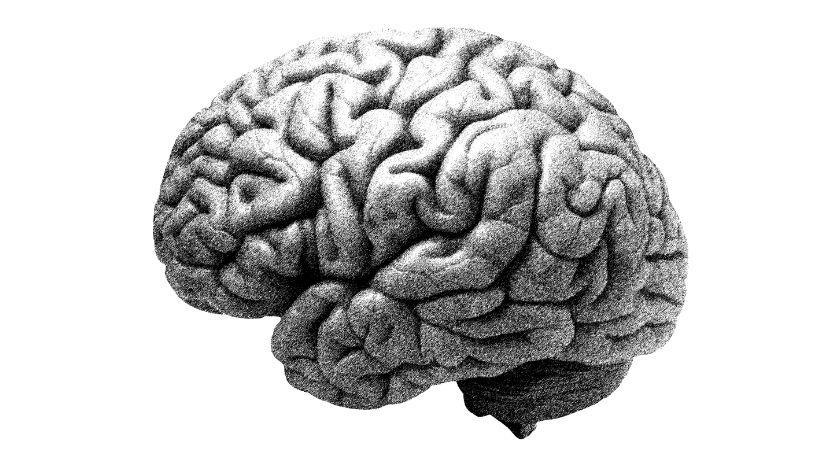 Low Choline Status and Obesity Linked to Marker of Brain Damage: Study